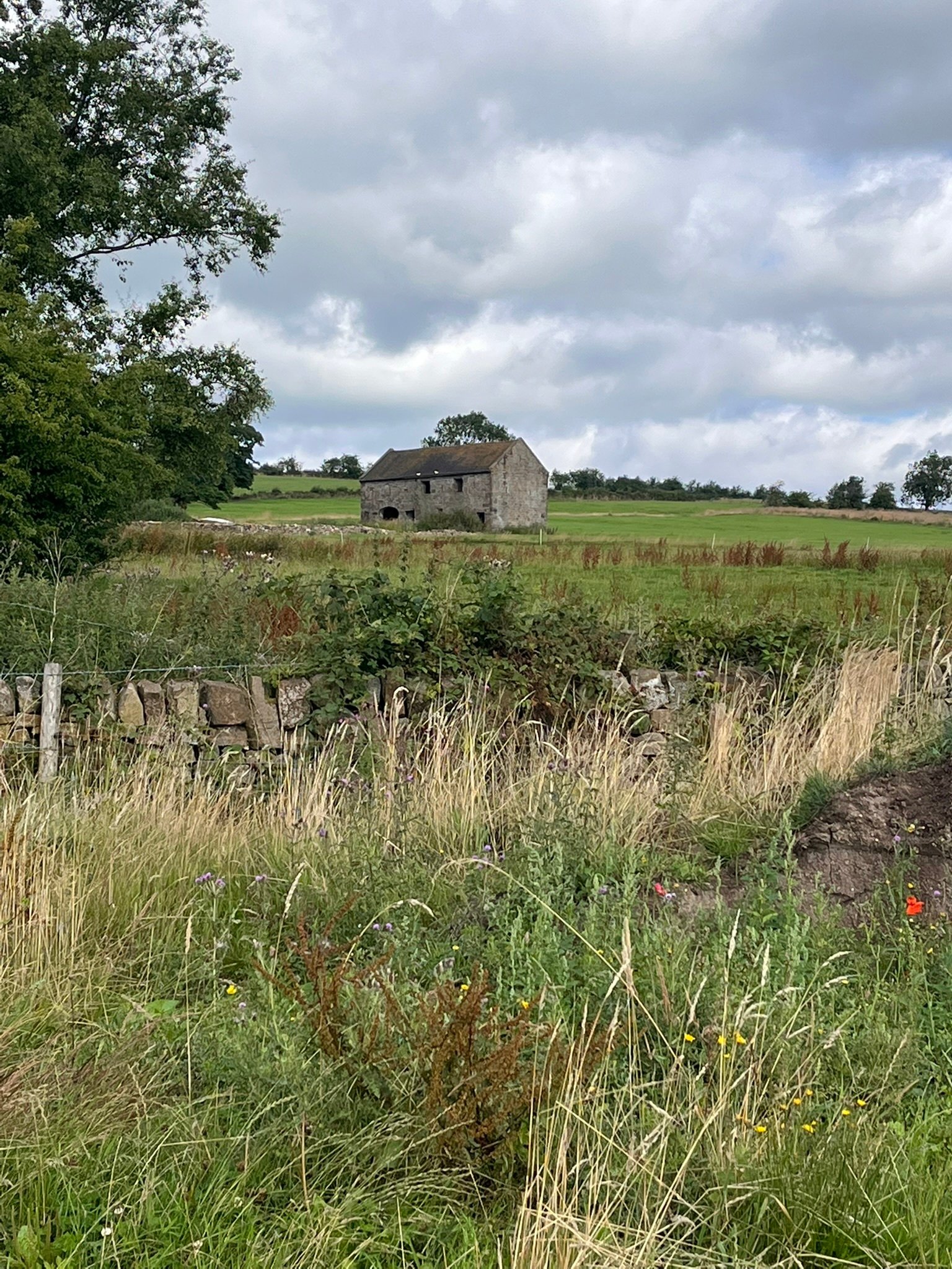 view from the fields 