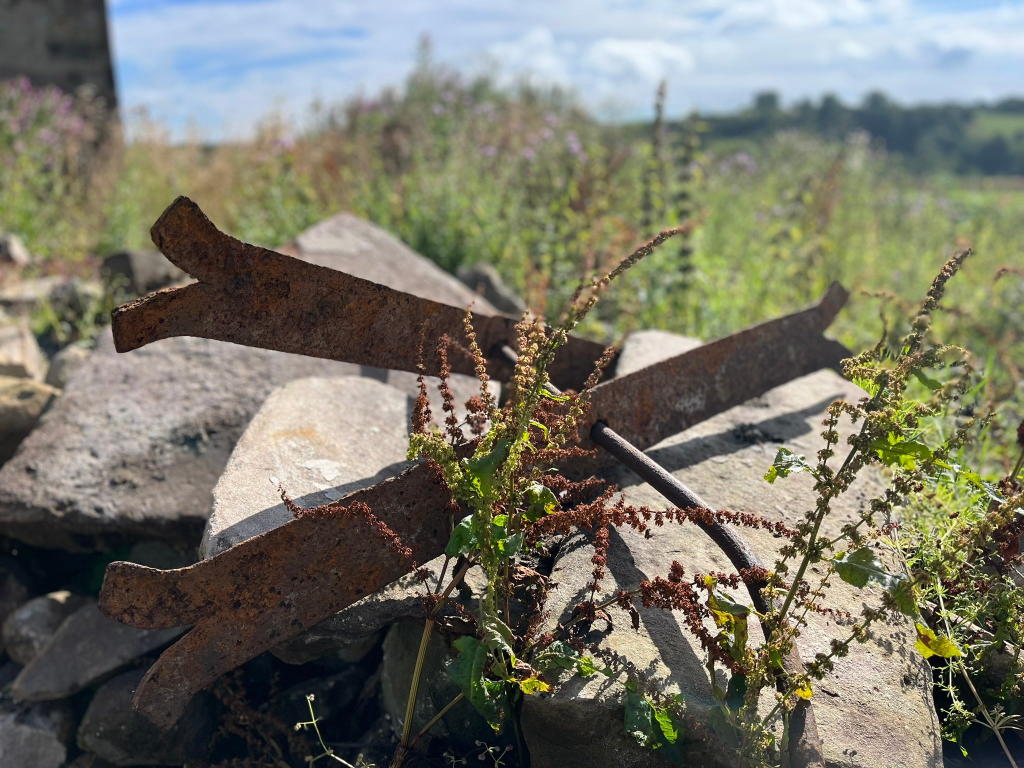finding things in the rubble piles 