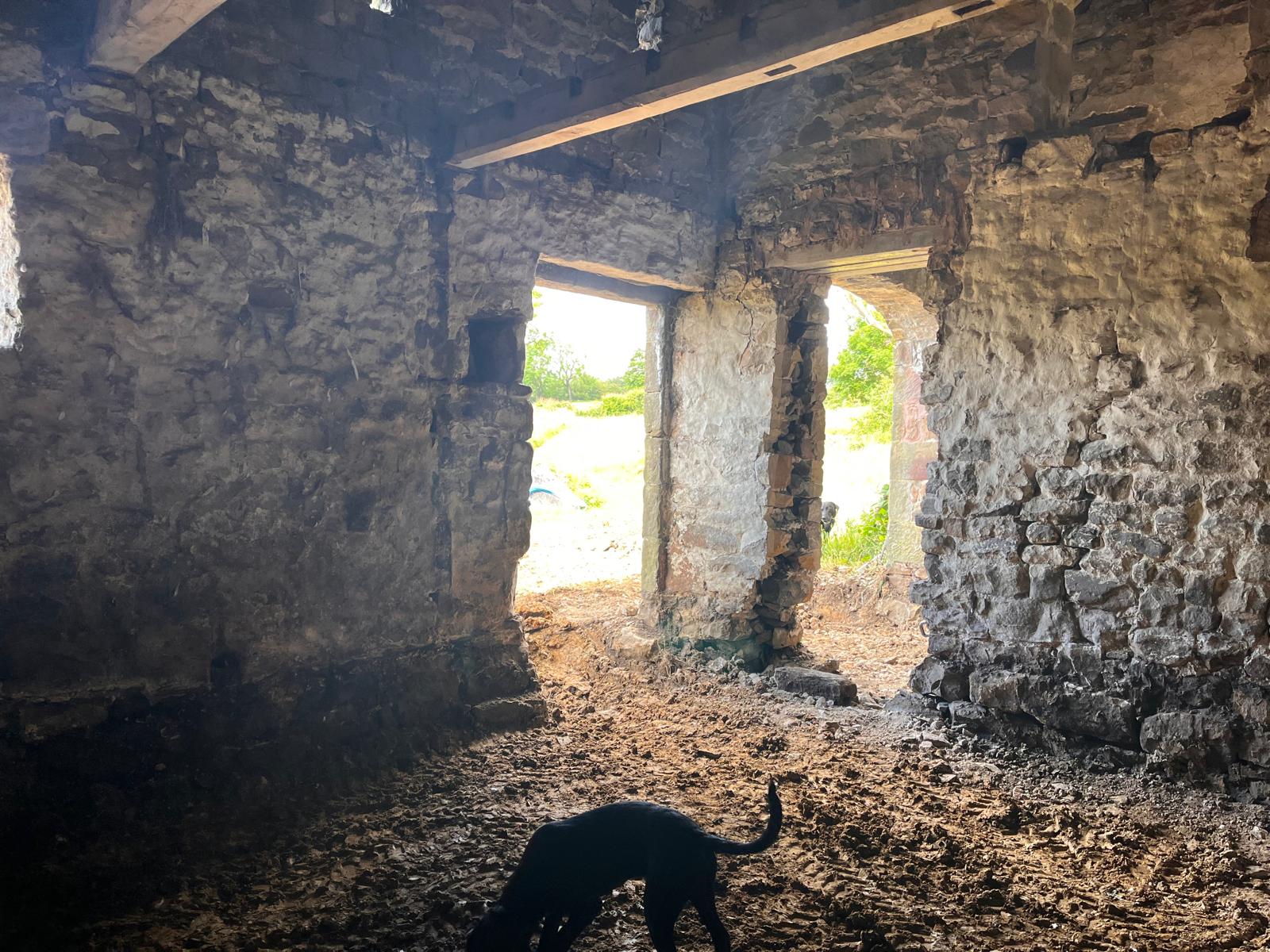 view from the lounge 