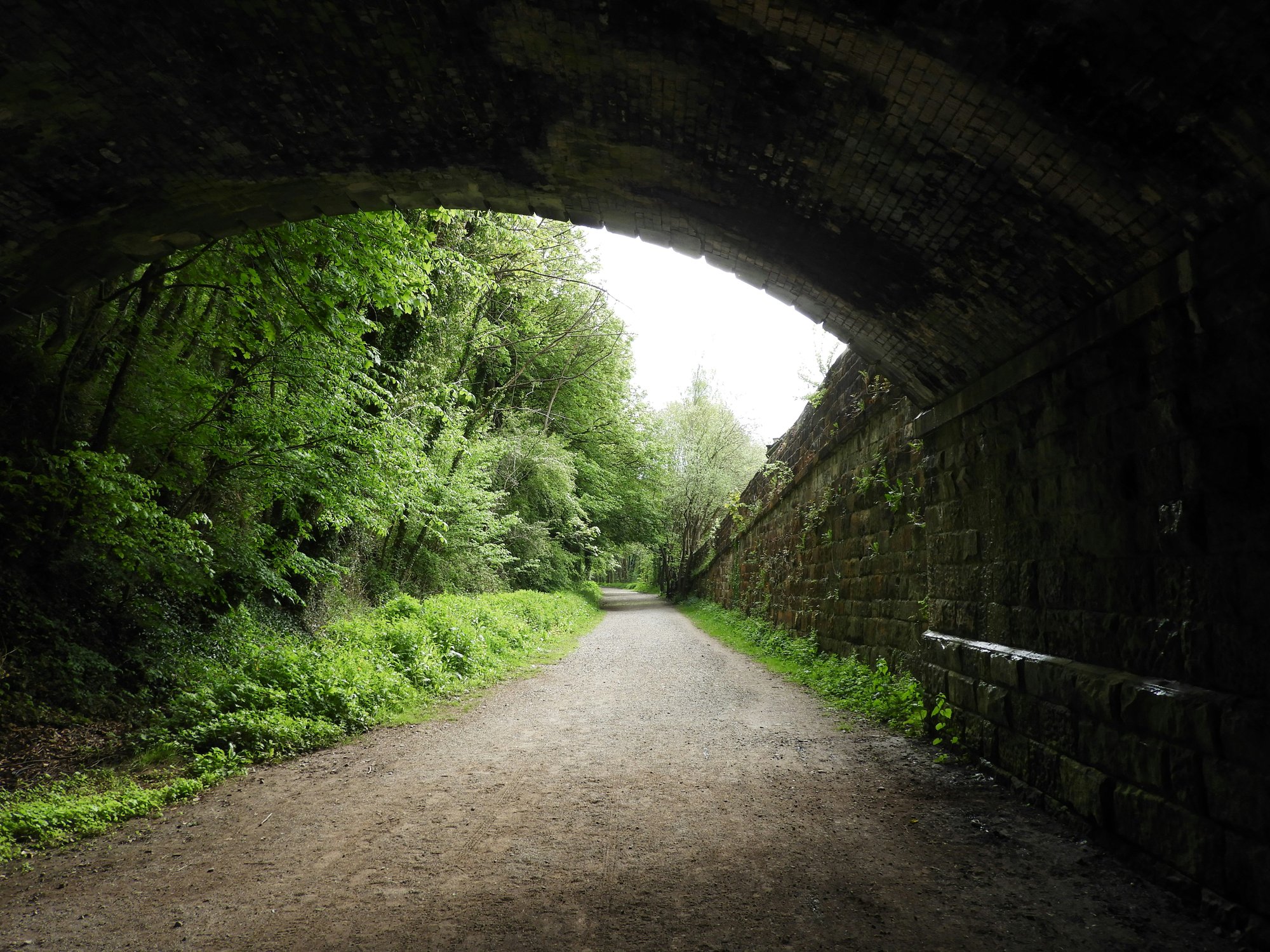 bridge